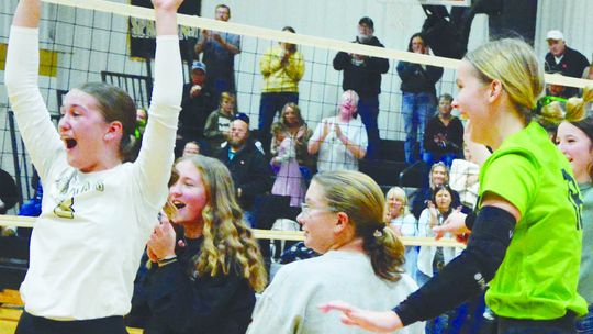 ANSLEY-LITCHFIELD VOLLEYBALL