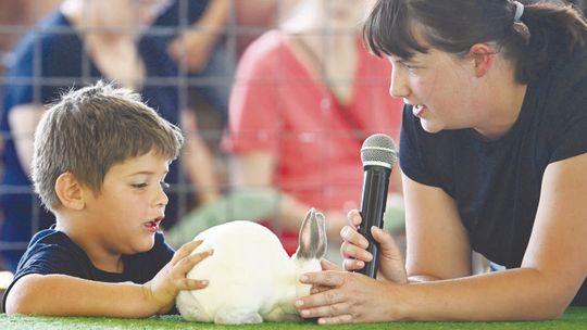 FAIR FUN HEATS UP