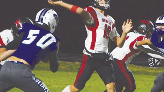 Rebels fall to one of Class D1’s best