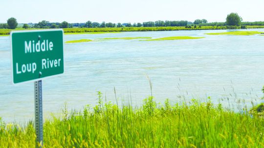 RECENT RAINS BENEFIT LOUP SYSTEM
