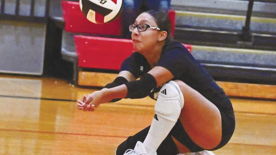 Spartans split matches