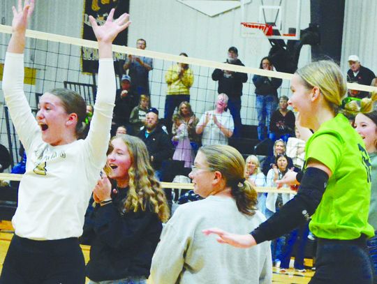 ANSLEY-LITCHFIELD VOLLEYBALL