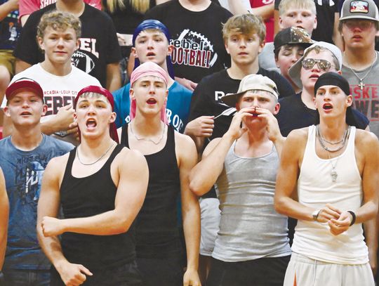ARCADIA/LOUP CITY REBELS