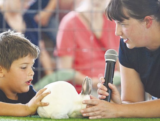 FAIR FUN HEATS UP