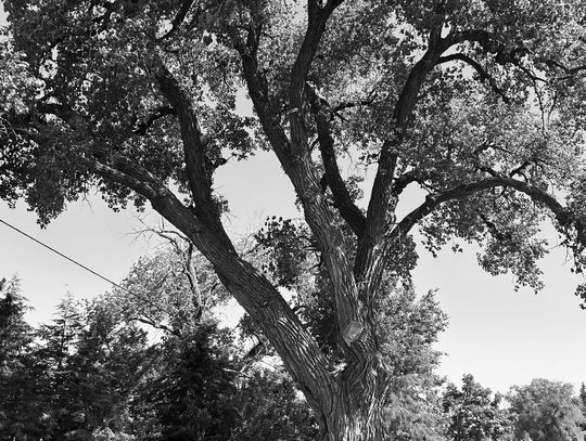 Major storms, damage a part of county’s history