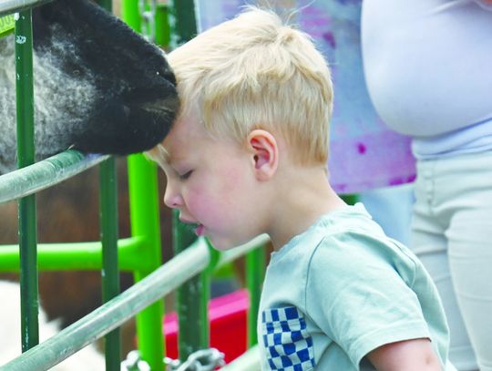 Petting zoo a sight for young, old at Polish Days
