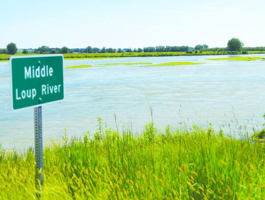 RECENT RAINS BENEFIT LOUP SYSTEM
