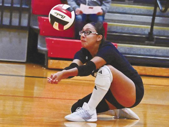 Spartans split matches
