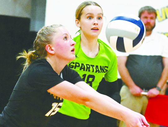 Spartans win Subdistrict D1-10 championship