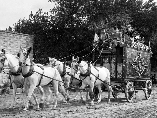 What do you remember about the county fair?