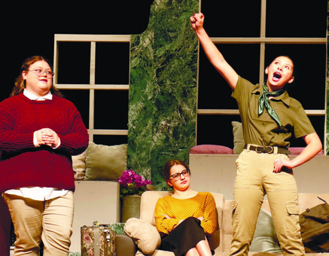 AHS GETS ITS TURN IN LIMELIGHT