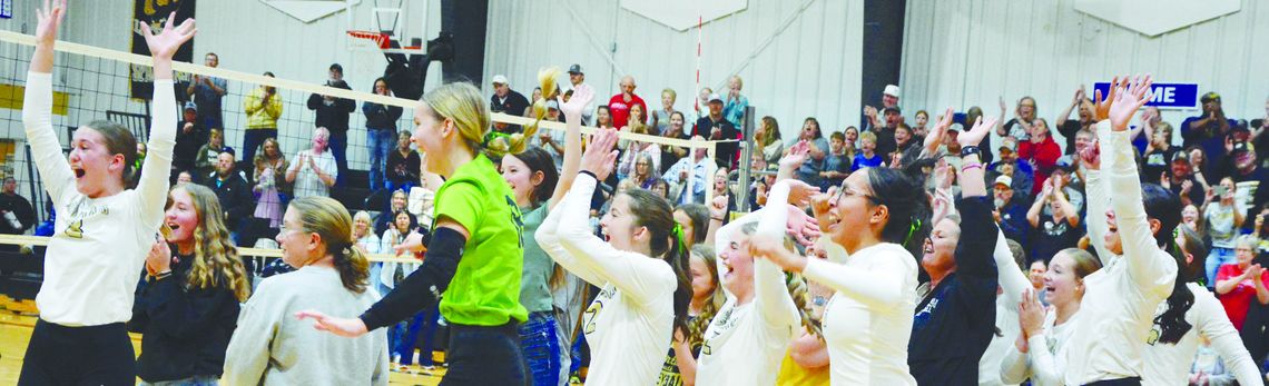 ANSLEY-LITCHFIELD VOLLEYBALL