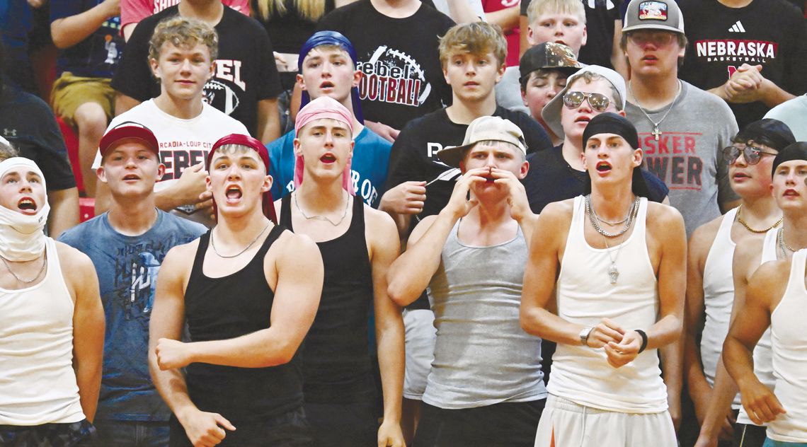 ARCADIA/LOUP CITY REBELS