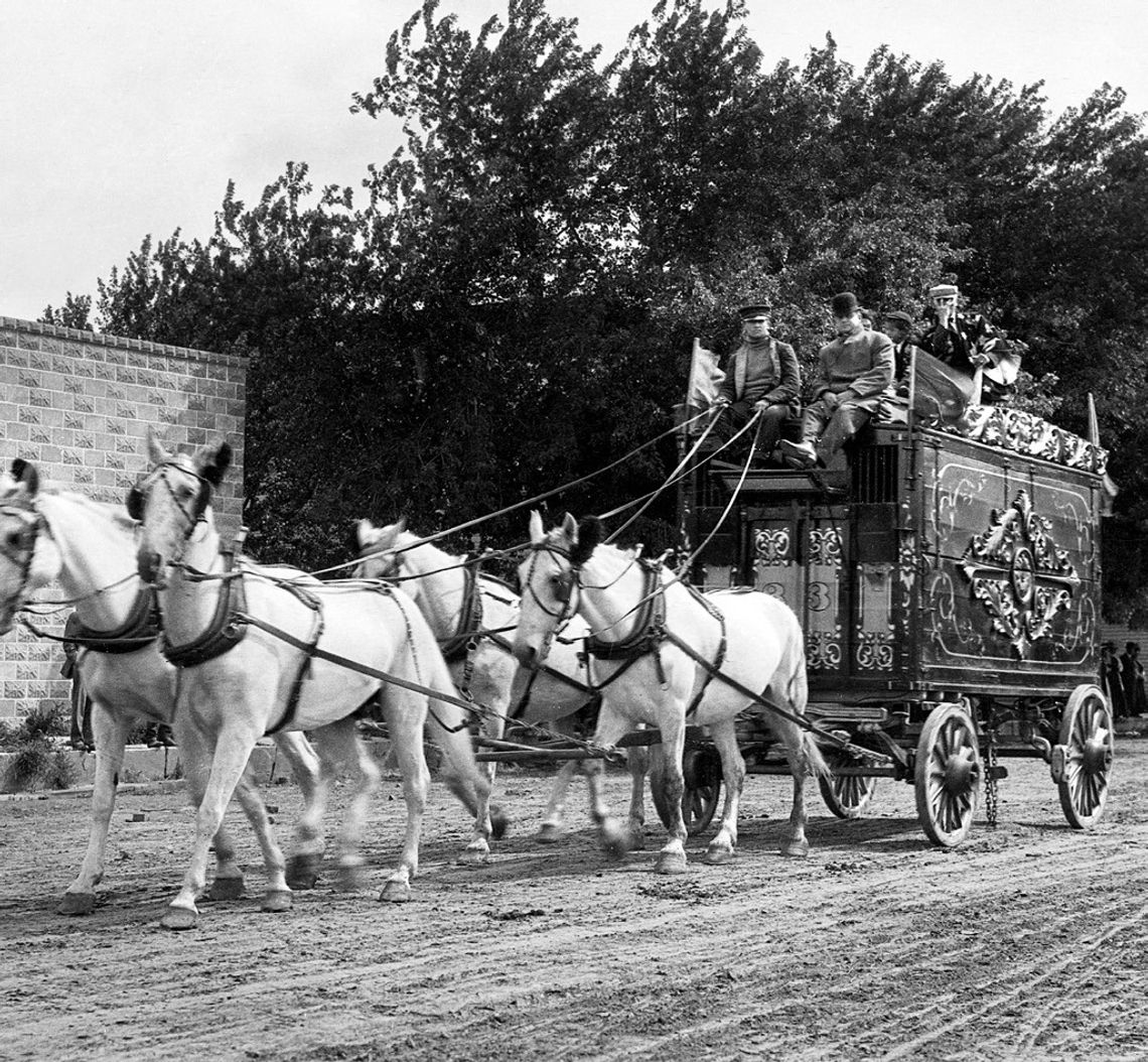 What do you remember about the county fair?